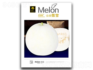 ���ư�ѩ-��ϷN��-�ٺ̹�