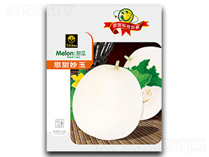 ˼������-��ϷN��-�ٺ̹�