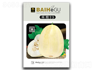 ����23-��ϷN��-�ٺ̹�