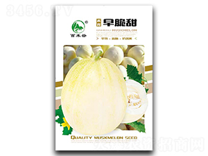 �����-��ϷN��-�ٺ̹�