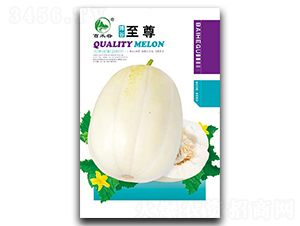 ��������-��ϷN��-�ٺ̹�