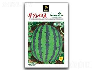 �A������-���ϷN��-�ٺ̹�