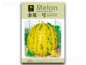 ��һ̖-��ϷN��-�ٺ̹�