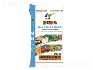 �{(l��n)�Z����-���r(n��ng)��̩