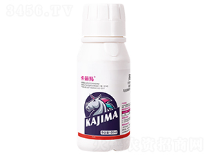 �E�R����ˎ�߶Ȱ�ȫ�Ϲ�ͨ�� ���σ�(y��u)ʿ