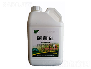 �x���ͼ޾��AҺ-̼����-�|֮¡