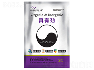 ���Є�-������