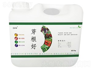 ѿ����-������