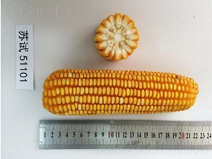 �K��41-���׷N��-����N�I(y��)