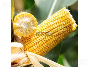 ���r(n��ng)��108-���׷N��-���r(n��ng)�N�I(y��)