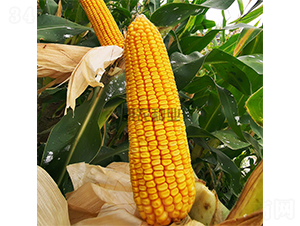 ���r(n��ng)��109-���׷N��-���r(n��ng)�N�I(y��)