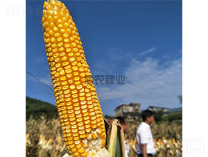 ����1108-���׷N��-���r(n��ng)�N�I(y��)