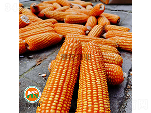 ���r(n��ng)��8̖-���׷N��-���r(n��ng)�N�I(y��)