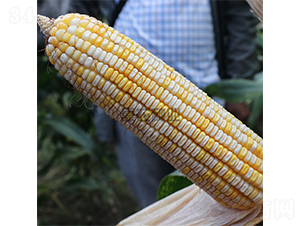 ����14022-���׷N��-���r(n��ng)�N�I(y��)