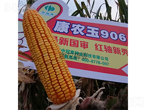 ���r(n��ng)��906-���׷N��-���r(n��ng)�N�I(y��)