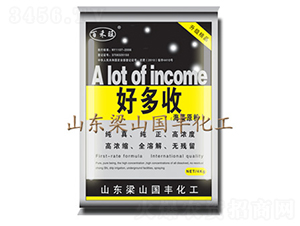 �ö���-���S�ʘI(y��)