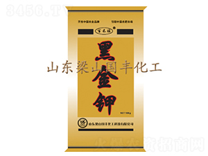 �ڽ��-���S�ʘI(y��)