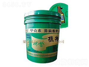 Ų��ֲ���-���S�ʘI(y��)