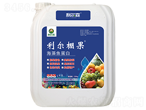 �����~(y��)����-�������-����ɭ