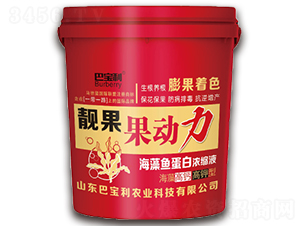 ������}������n��-����(d��ng)��-�͌����r(n��ng)