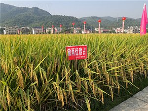 �ՃɃ�(y��u)��ռ-ˮ���N��-���ķN�I(y��)