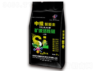 �VԴ���Թ�-��Ͷ����