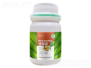 Ӳ����-�Tɭ����