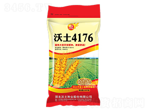 ����4176-С���N��-�����N�I(y��)