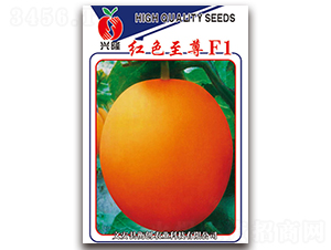 �tɫ����-��Ƥ��ϷN��-�ℓ(chu��ng)�r(n��ng)�I(y��)