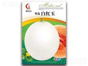 �׼t��-��Ƥ��ϷN��-�ℓ(chu��ng)�r(n��ng)�I(y��)