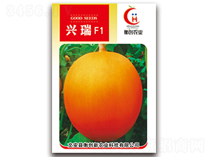 �d��-��Ƥ��ϷN��-�ℓ(chu��ng)�r(n��ng)�I(y��)