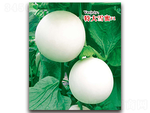 �ش�ѩ��-��Ƥ��ϷN��-�ℓ(chu��ng)�r(n��ng)�I(y��)