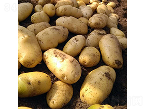 ϣɭ3̖-�����N��-ϣɭ