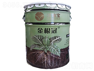 �����-�ֵ،�