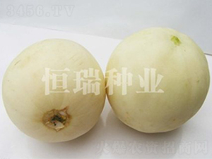 ��ѩ-��ϷN��-����N�I(y��)