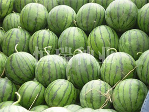 ���һ̖-���ϷN��-����N�I(y��)