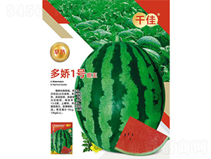 ����һ̖����-���ϷN��-����N�I(y��)