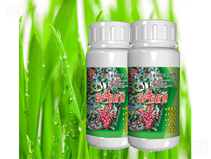 �����߮a(ch��n)�����-˹�ؿ�