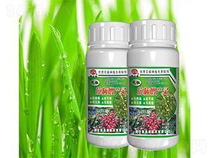 �����������a(ch��n)�`-˹�ؿ�