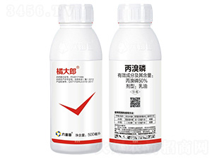 50%����������-�ٴ���-������