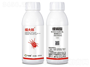 34%�������Ҹ���-�ٴ���-������