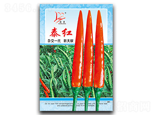 ̩�t-���콷�N��-�}�ʷN�I(y��)