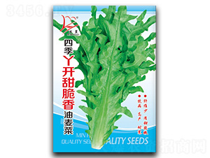 �ļ�Ѿ�_�����������-�����˷N��-�}�ʷN�I(y��)