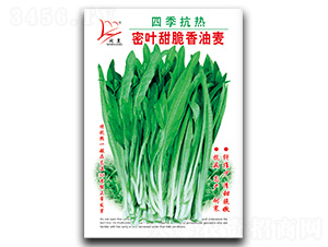 �ļ��������~���������-�����˷N��-�}�ʷN�I(y��)