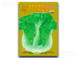 ȫ���ͳ�̦��������223-���˷N��-�}�ʷN�I(y��)