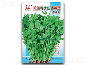 �������ļ�-��˷N��-�}�ʷN�I(y��)