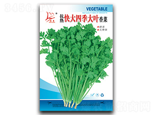 �������ļ����~���-��˷N��-�}�ʷN�I(y��)