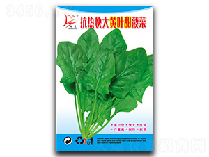 �������S�~�𲤲�-���˷N��-�}�ʷN�I(y��)