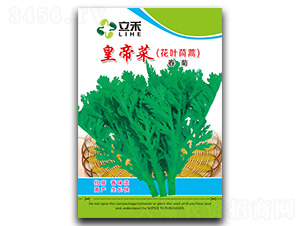 �ʵ۲�-����N��-�}�ʷN�I(y��)