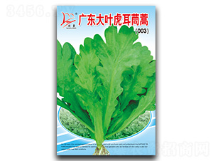 �V�|���~��������-����N��-�}�ʷN�I(y��)